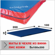 МАТ СПОРТИВНЫЙ Boyko-sport в чехле из ткани ВИНИЛИС КОЖА 5х100х200 фото